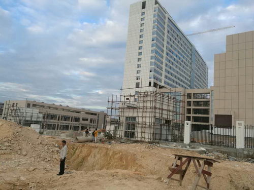 精準督導促實效，長埔路市政工程建設穩步推進——局領導深入一線檢查工程進展情況